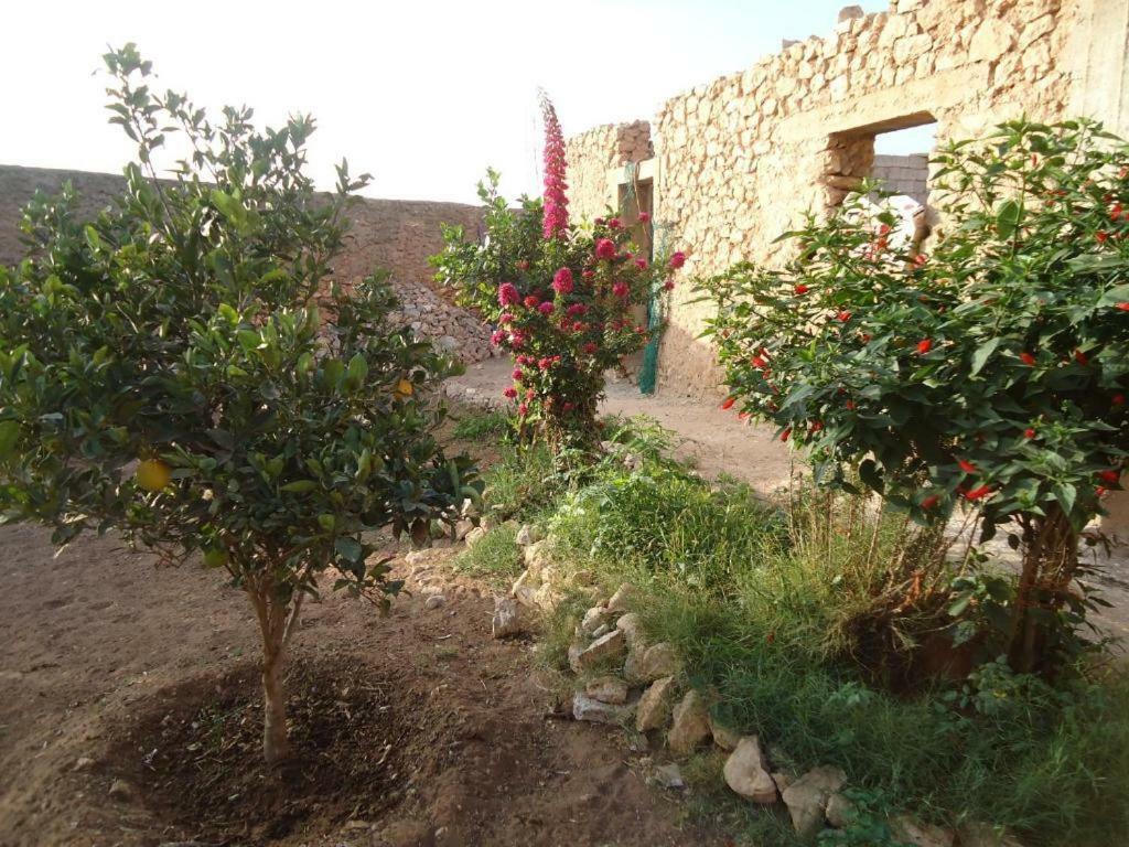 Takad Dream Rural Apartment Takate Exterior photo